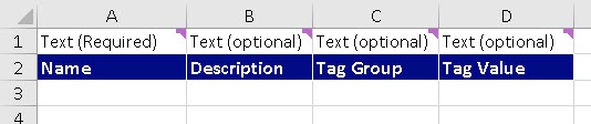Master Data Import Template